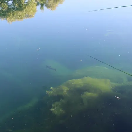 Villa Am Lux House *